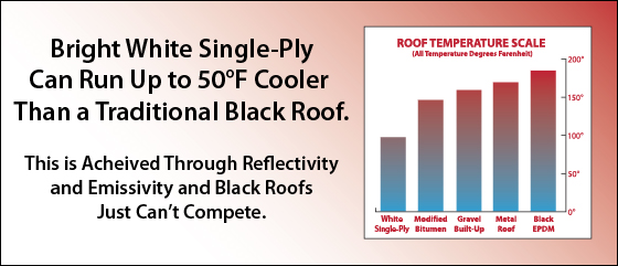 Single-Ply Roof Repair